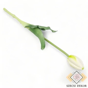 Mű bimbós szálas tulipán  38 cm - fehér cirmos szemből 