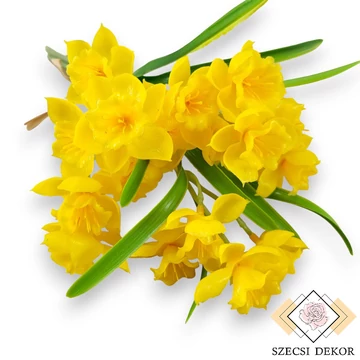 Mű jonquil nárcisz köteg 5 szál gumi 30 cm - sárga szemből