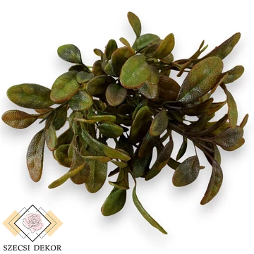 Mű zöld orvosi zsálya csokor 5 szál 35 cm - barna szemből