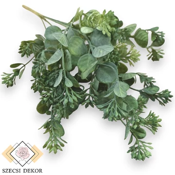 Mű zöld kalanchoe hildebrandtii csokor 5 szál 39 cm - sötétzöld szemből