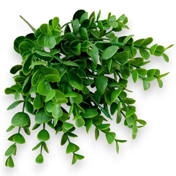 Mű zöld carissa macrocarpa csokor 5 szál 32 cm - zöld szemből