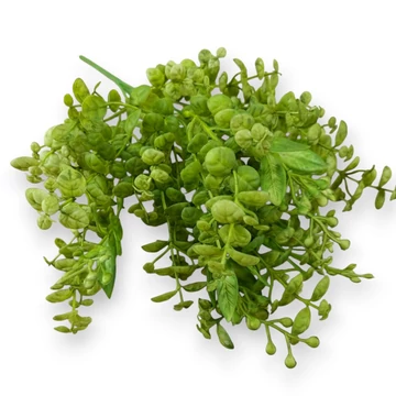 Mű zöld lophomyrtus bullata csokor 5 szál 36 cm - világoszöld szemből