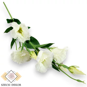 Mű liziantusz szál nagy selyem 83 cm - törtfehér szemből