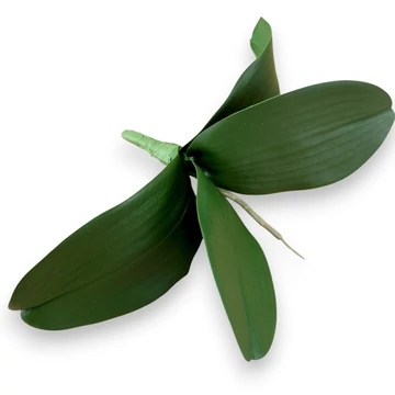 Mű orchidea levél közepes bevonatos 22,5 cm - sötétzöld ferde