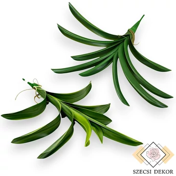 Mű cymbidium levél gumi 42 cm szemből