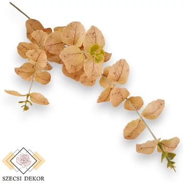 Mű eucalyptus cinerea szál selyem 74 cm - barna szemből