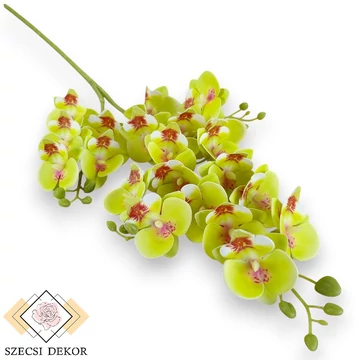 Mű lepkeorchidea szál bevonatos 75 cm - világoszöld szemből