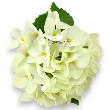 Mű hortenzia szál kicsi gumi 22 cm - halványzöld szemből