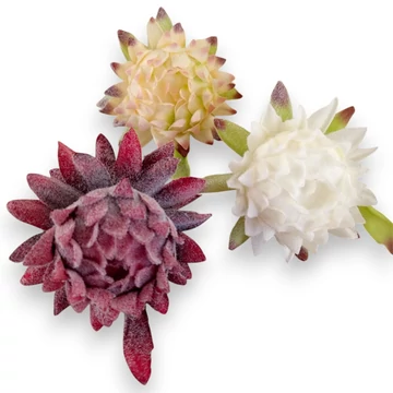 Mű protea fejek tálcán 9 db flokkolt 10 cm szemből