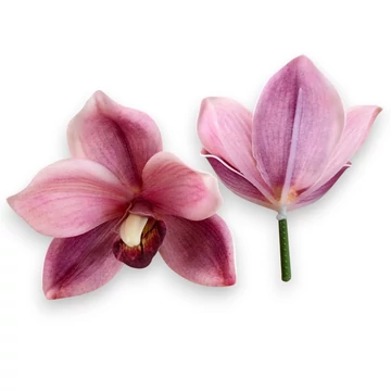 Mű cymbidium fejek tálcán 30 db polifoam 10 cm - rózsaszín-bíbor darab