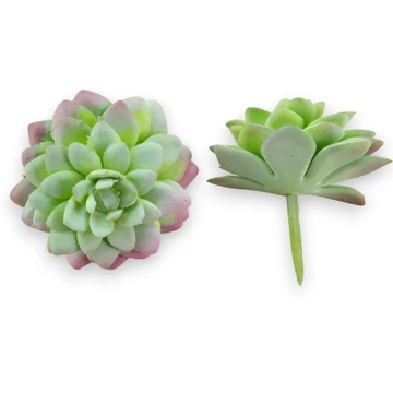 Mű mini aeonium tabuliforme szál gumi 7 cm - hamvas szemből