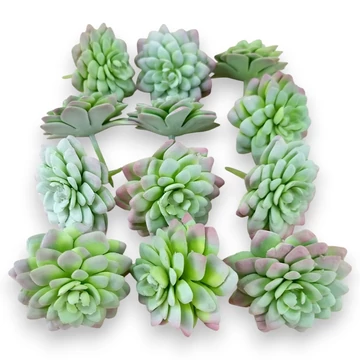 Mű mini aeonium tabuliforme csomag 12 db gumi 7 cm - hamvas mind