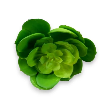 Mű echeveria pallida szál gumi 13 cm - zöld szemből