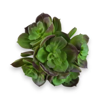 Mű pozsgás kövirózsa bokor gumi 9 cm - lila cirmos szemből