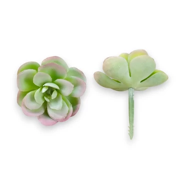 Mű mini sedum kimnachii szál gumi 7 cm - hamvas szemből