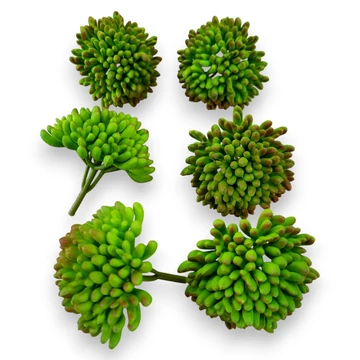 Mű vastaglevelű varjúháj csomag 6 db kicsi gumi 8 cm - piros cirmos mind