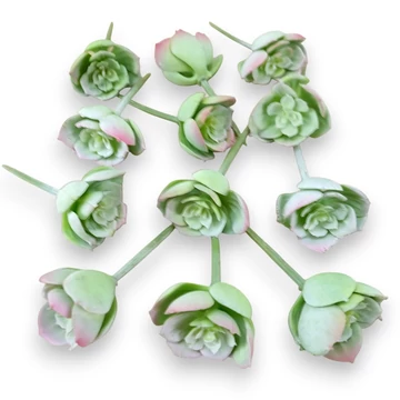 Mű mini echeveria pallida csomag 12 db gumi 10 cm - hamvas mind