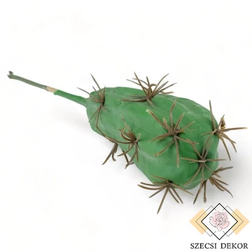 Mű pozsgás trichocereus bridgesii kaktusz 17 cm - zöld szemből