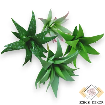 Mű mini aloe vera gumi 10 cm szemből
