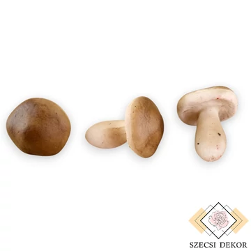 Mű gomba csomag 36 db hungarocell 6 cm - barna szemből