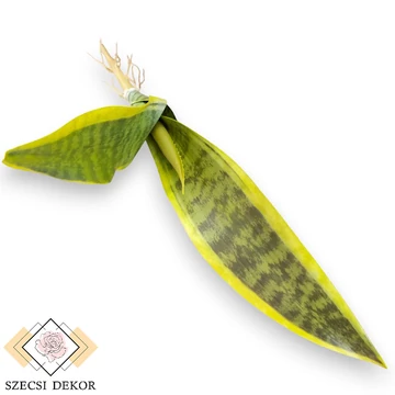 Mű sansevieria levél bevonatos 41 cm - világos szemből