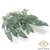 Mű zöld sudárzsálya csokor 5 szál 45 cm - zöld szemből
