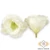 Mű eustoma fej selyem 7 cm 24 db - törtfehér szemből