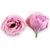 Mű eustoma fej selyem 7 cm 24 db - rózsaszín szemből