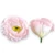 Mű eustoma fej selyem 7 cm 24 db - babarózsaszín szemből