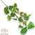 Mű közönséges vadkörte ág 73 cm - zöld szemből