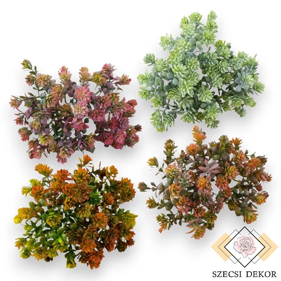 Mű zöld kisfejű sedum köteg kicsi 6 szál 22 cm szemből