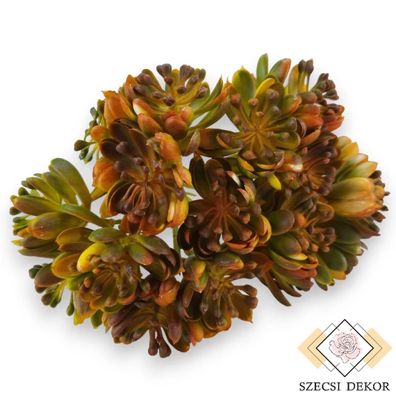 Mű zöld aeonium köteg 6 szál 28 cm - narancs szemből
