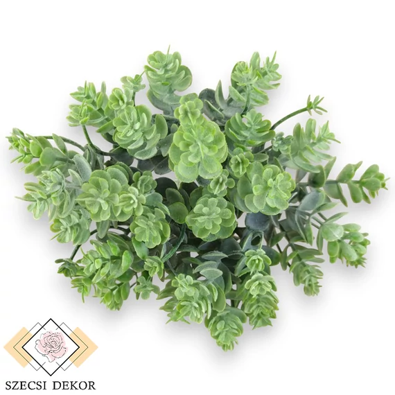 Mű zöld japán varjúháj köteg 5 szál 24 cm - hamvas szemből