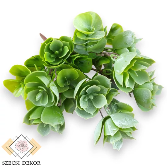 Mű zöld sedum tarnatum csokor 5 szál 31 cm - hamvas szemből