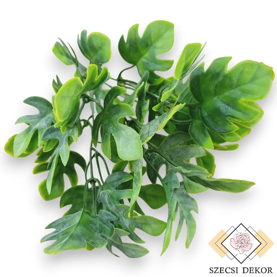 Mű zöld monstera minima csokor 5 szál 33 cm - világoszöld szemből