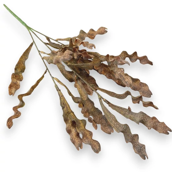 Mű zöld microsorum pteropus csokor 3 szál 51 cm - barna szemből
