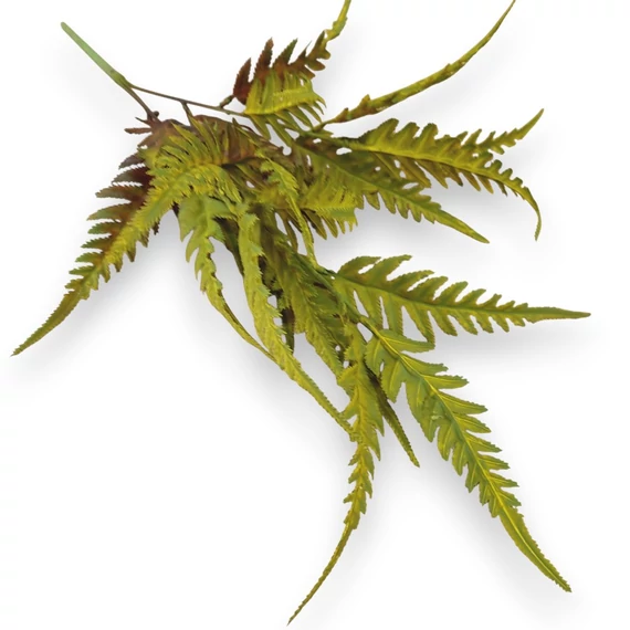 Mű pteris dentata csokor gumis 3 szál 57 cm - zöld szemből