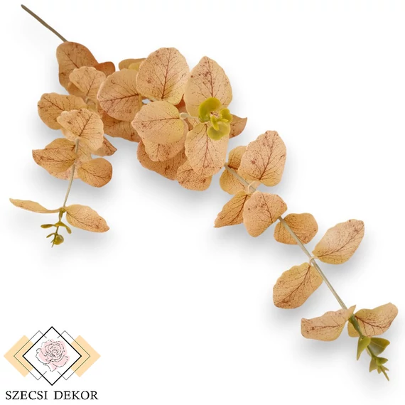 Mű eucalyptus cinerea szál selyem 74 cm - barna szemből