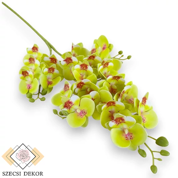 Mű lepkeorchidea szál bevonatos 75 cm - világoszöld szemből