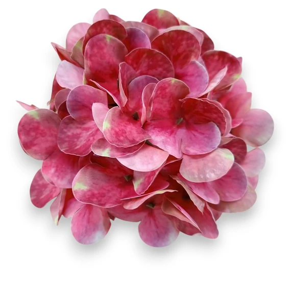 Mű hortenzia fej bevonatos 14 cm - magenta cirmos szemből