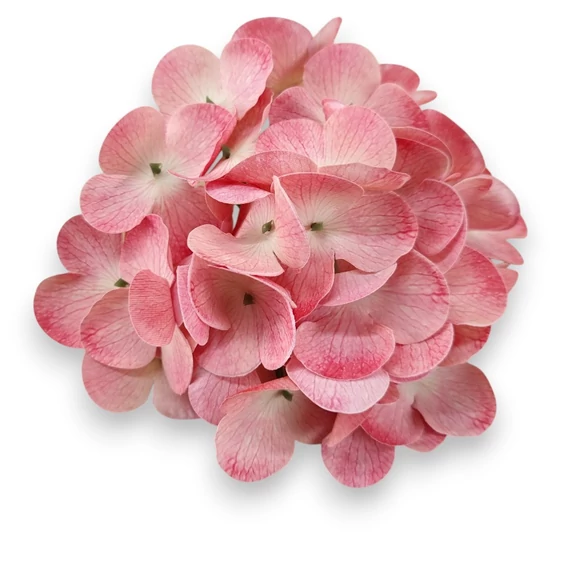 Mű hortenzia fej bevonatos 14 cm - rózsaszín szemből