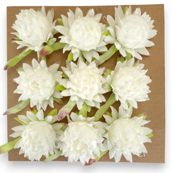 Mű protea fejek tálcán 9 db flokkolt 10 cm - fehér összes