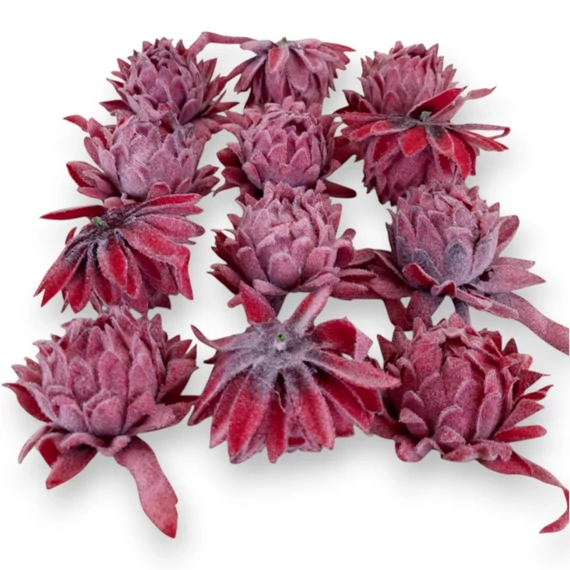Mű protea csomag 12 db flokkolt 9 cm - vörös mind