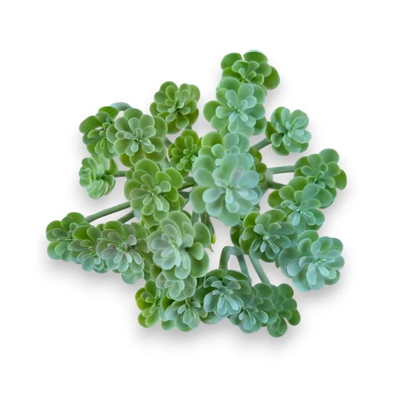 Mű pozsgás kövirózsa bokor 14 cm - hamvas szemből