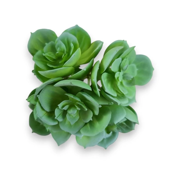 Mű pozsgás kövirózsa bokor gumi 9 cm - hamvas szemből