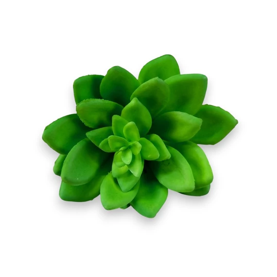 Mű sedum palmeri szál gumi 13 cm - zöld szemből