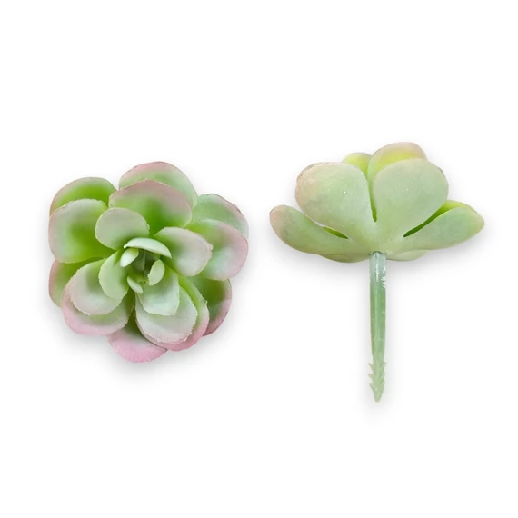 Mű mini sedum kimnachii szál gumi 7 cm - hamvas szemből