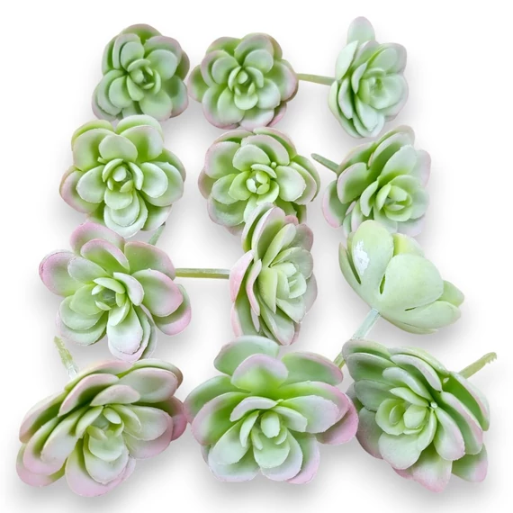 Mű mini sedum kimnachii csomag 12 db gumi 7 cm - hamvas mind