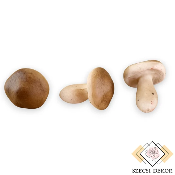 Mű gomba csomag 36 db hungarocell 6 cm - barna szemből