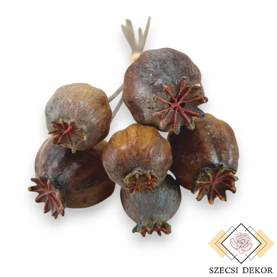 Mű mákgubó köteg hungarocell 6 szál 26 cm - barna szemből